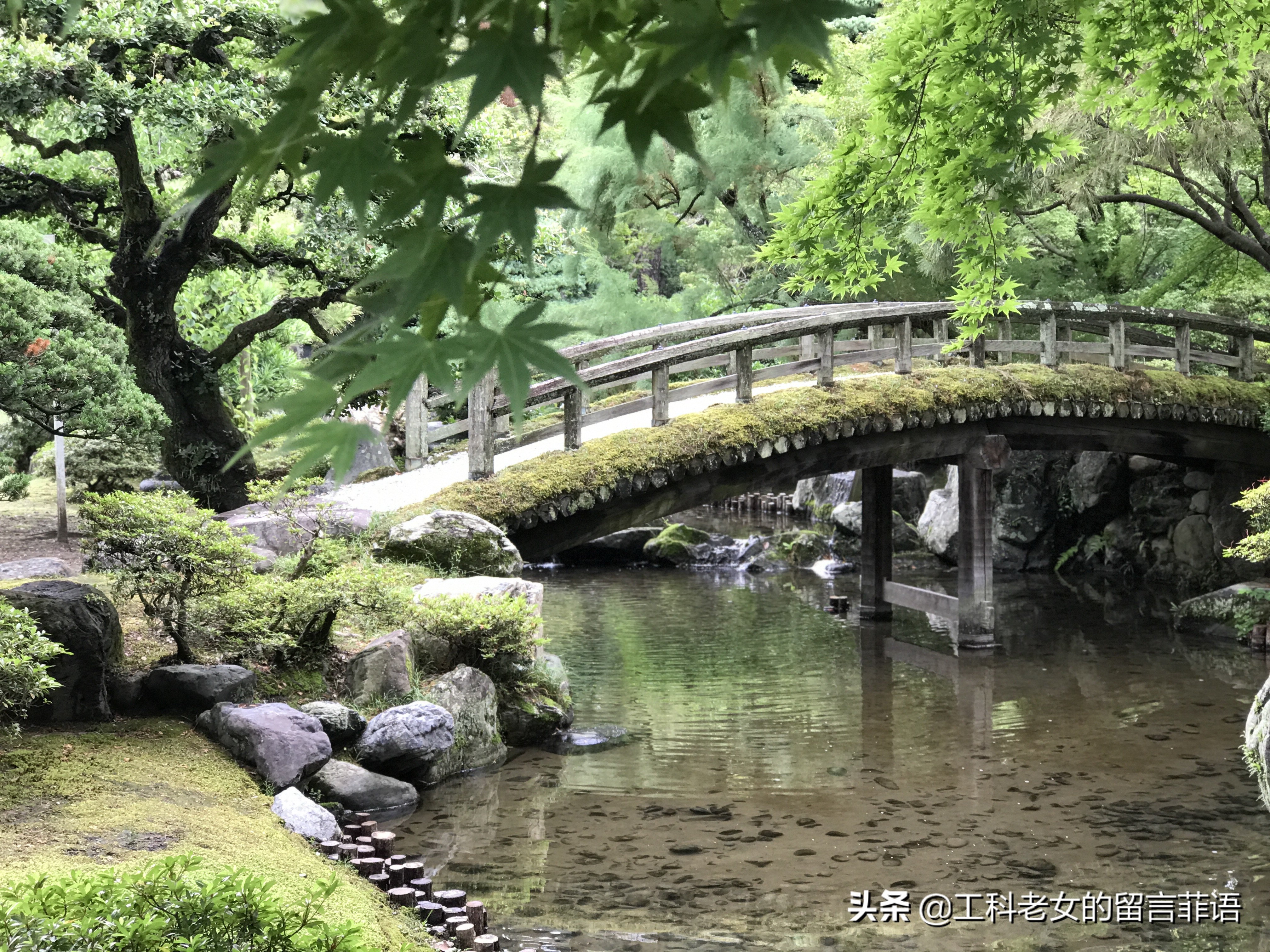 京都御所风格,京都皇宫御所
