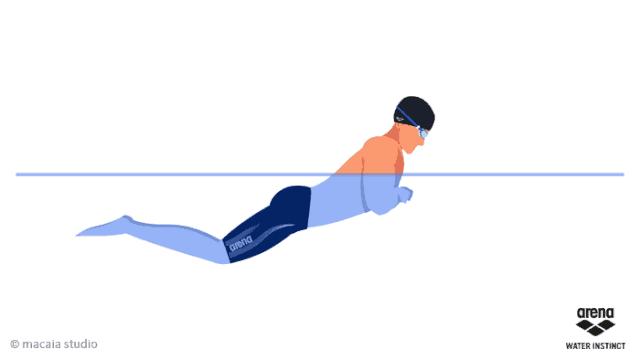 蛙泳易学还是自由泳好学,蛙泳如何游得又快又稳