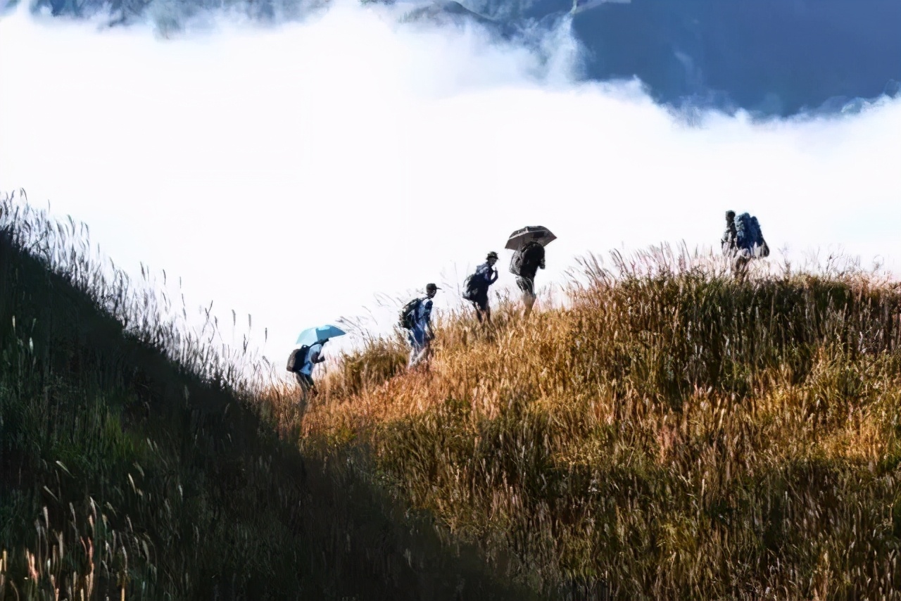 重阳节你和家人长辈的感人往事,关于重阳节的那点事儿