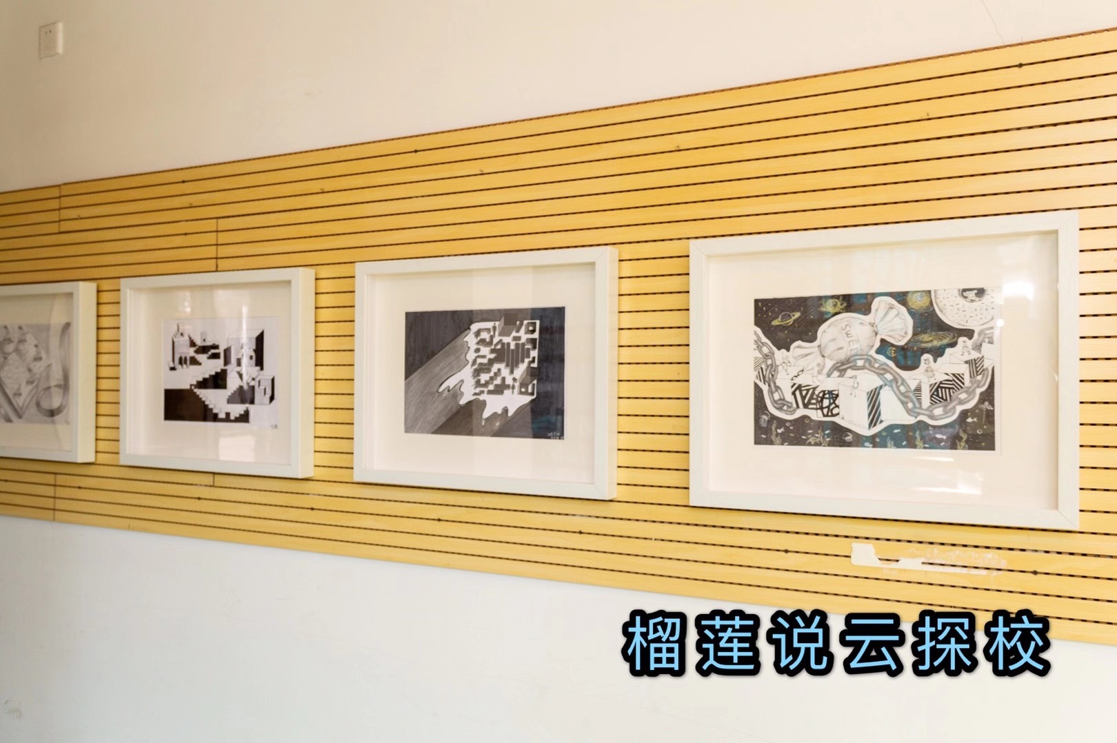 榴莲说云探校纪录片,榴莲说云探校成都实验学校