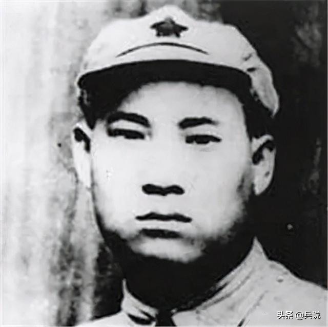 独臂将军贺炳炎片段全部,独臂将军贺炳炎片段