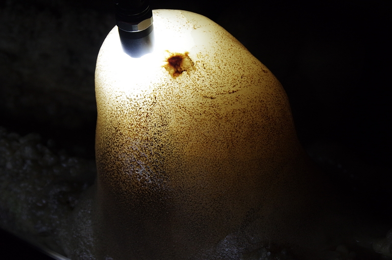 北京石花洞温度,北京石花洞景区