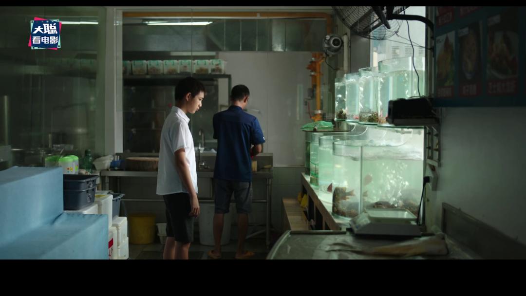 《隐秘的角落》象征含义和结局探讨，每个动物都有它的意义