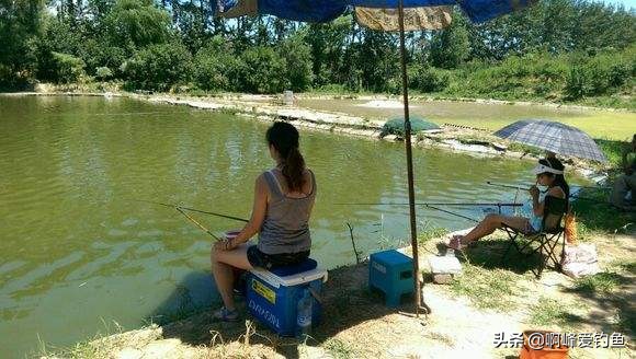 钓鱼初学入门基础知识,新手学习钓鱼入门基本知识