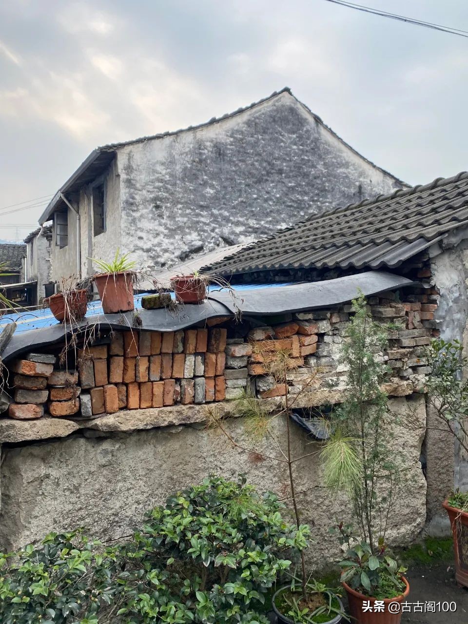 绍兴州山:《古文观止》发祥地重磅基因待解码