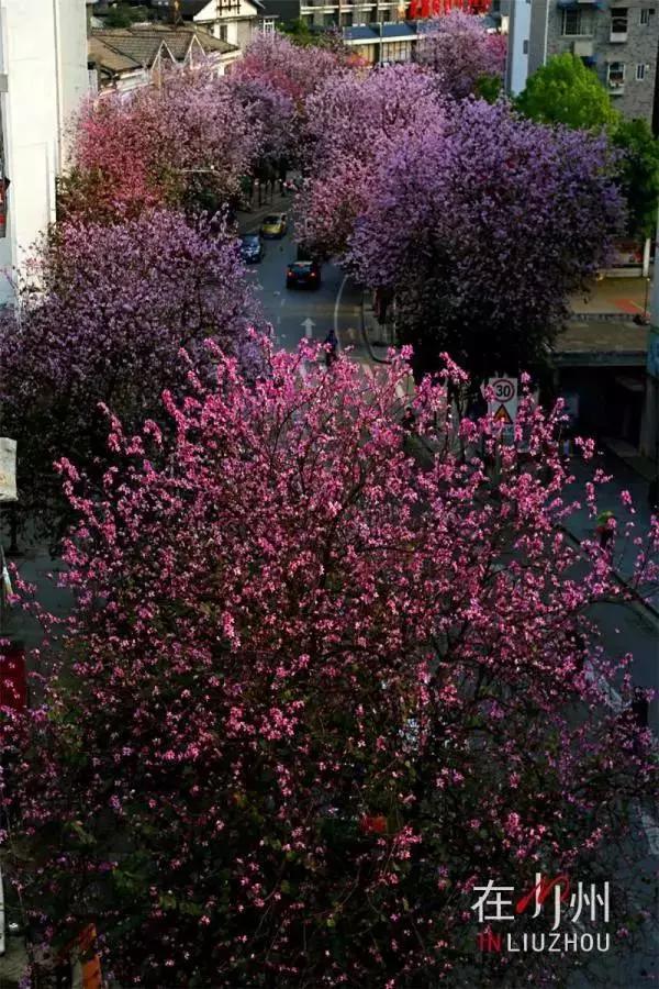 退休后就去国内旅游,退休后必去的100个景点