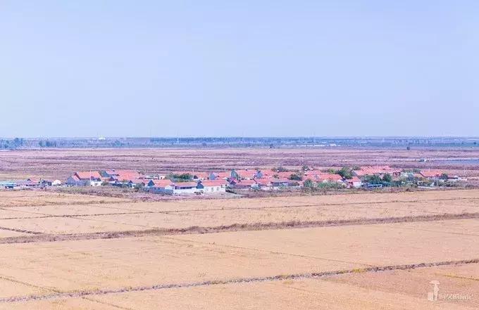 前方高能预警,前方高能预警有多高能