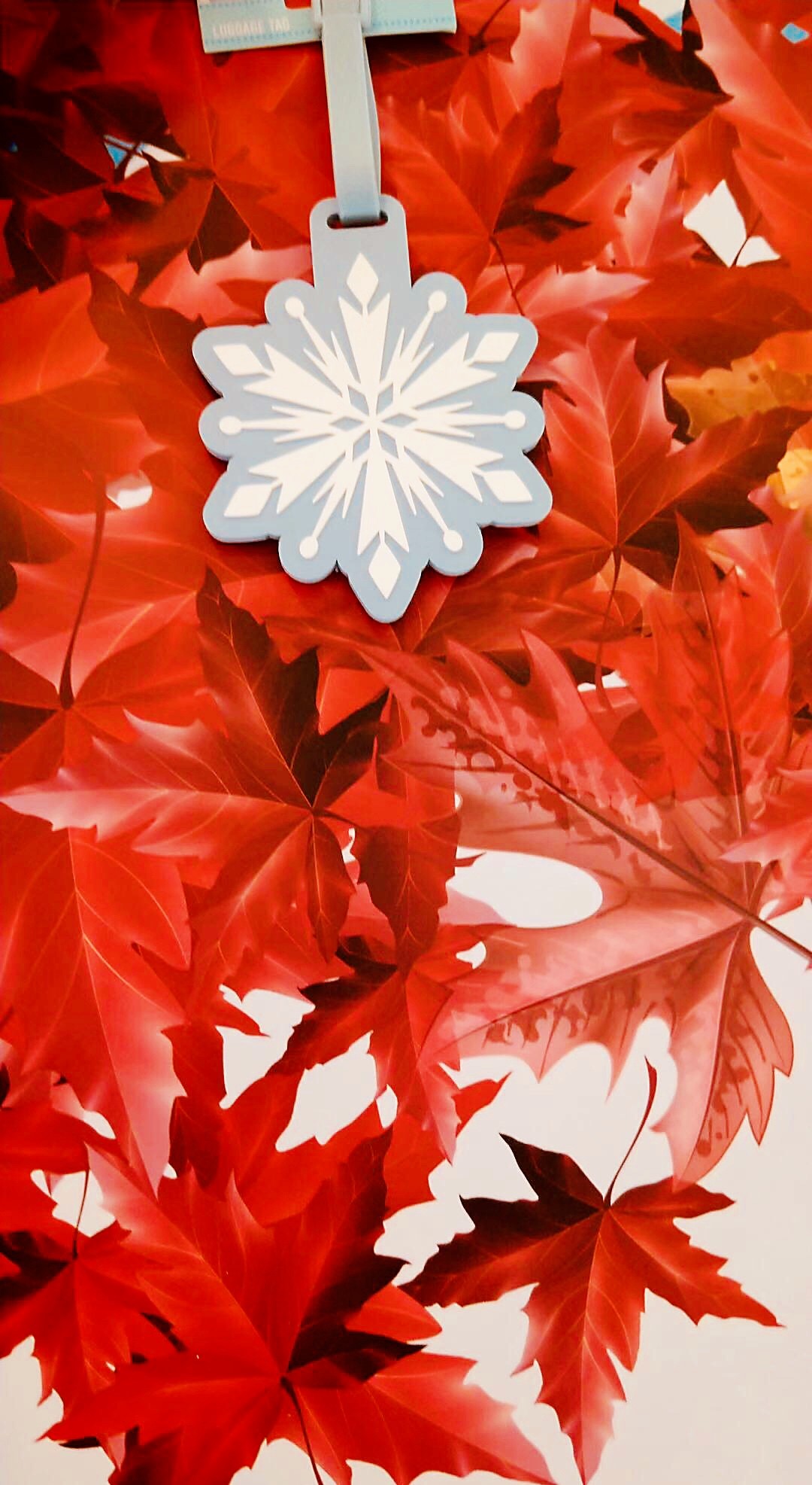 冰雪世界降临,冰雪世界国贸商城