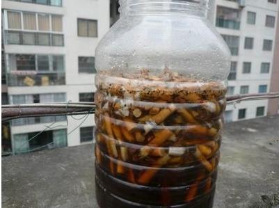 自制灭虫水最好的方法,怎么消灭水虫最有效方法