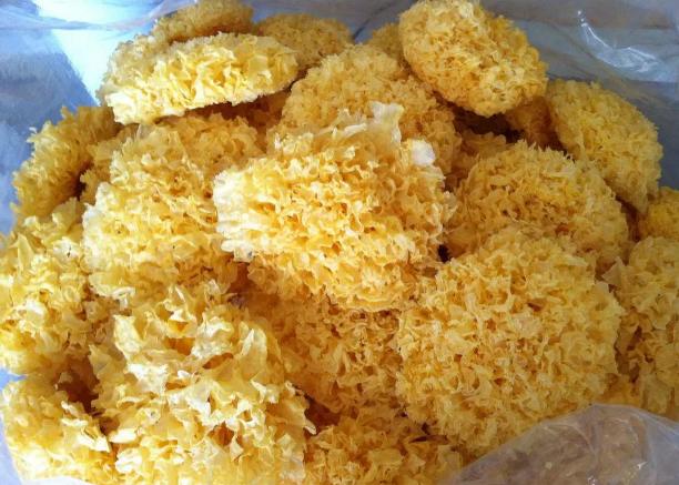 银耳咋挑,银耳怎么挑黑色