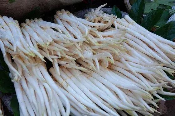 卧虎藏龙里的人情世故,卧虎藏龙金木水火土