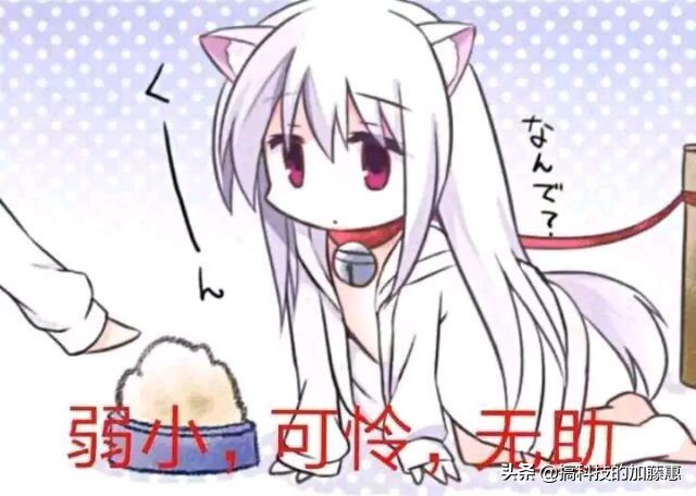 打游戏怎么关闭触摸板,打游戏时键盘失灵了怎么办