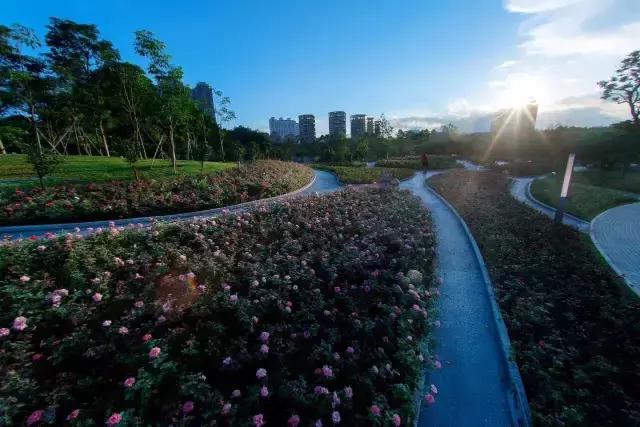 深圳最美婚姻登记处怎么预约,深圳哪个区结婚登记处最美