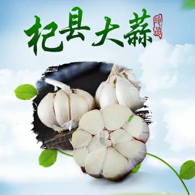 焦裕禄的6个子女:次女被毛主席接见，次子官至正厅，人称小焦书记