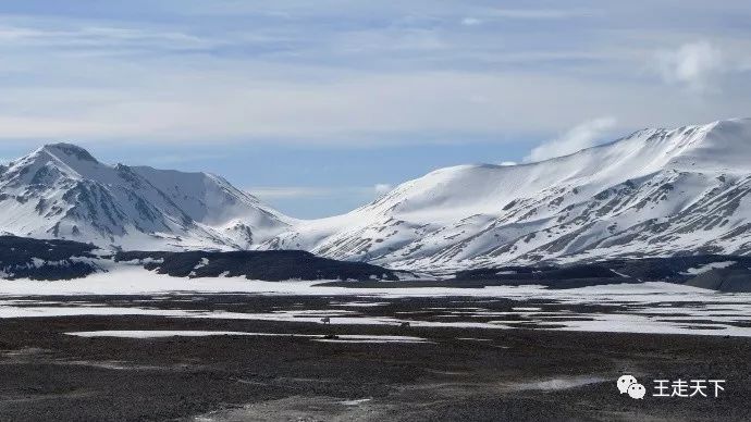 登陆巡游北冰洋—北极旅游见闻（5）