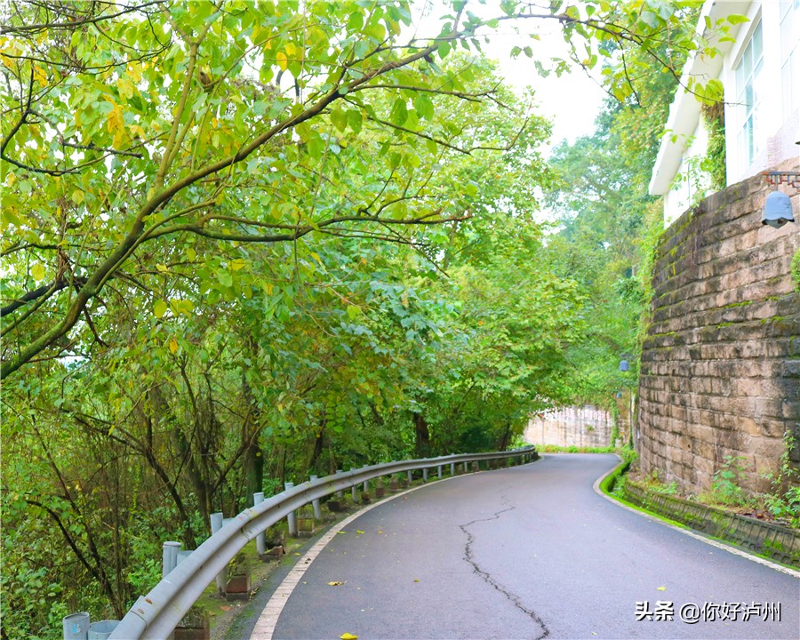 泸州最美农家乐,泸州特色农家乐