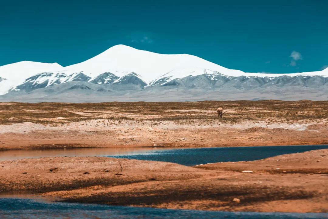华夏山脉,华夏四大山脉