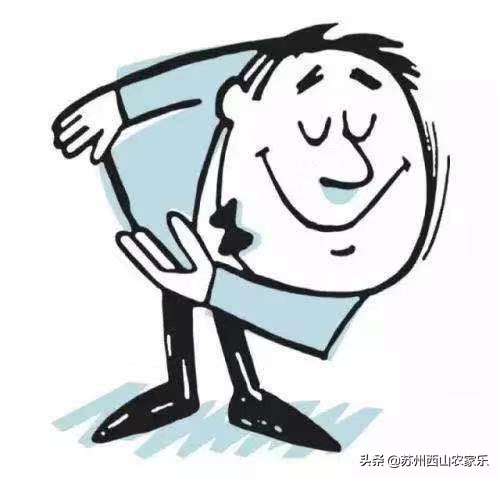 春节苏州西山农家乐多少价格,苏州西山农家乐包吃包住价格