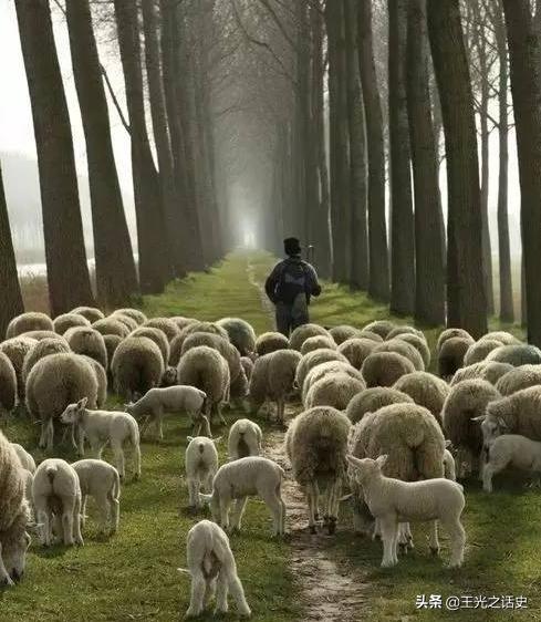 新西兰靠什么变成发达国家,新西兰是如何成为发达国家