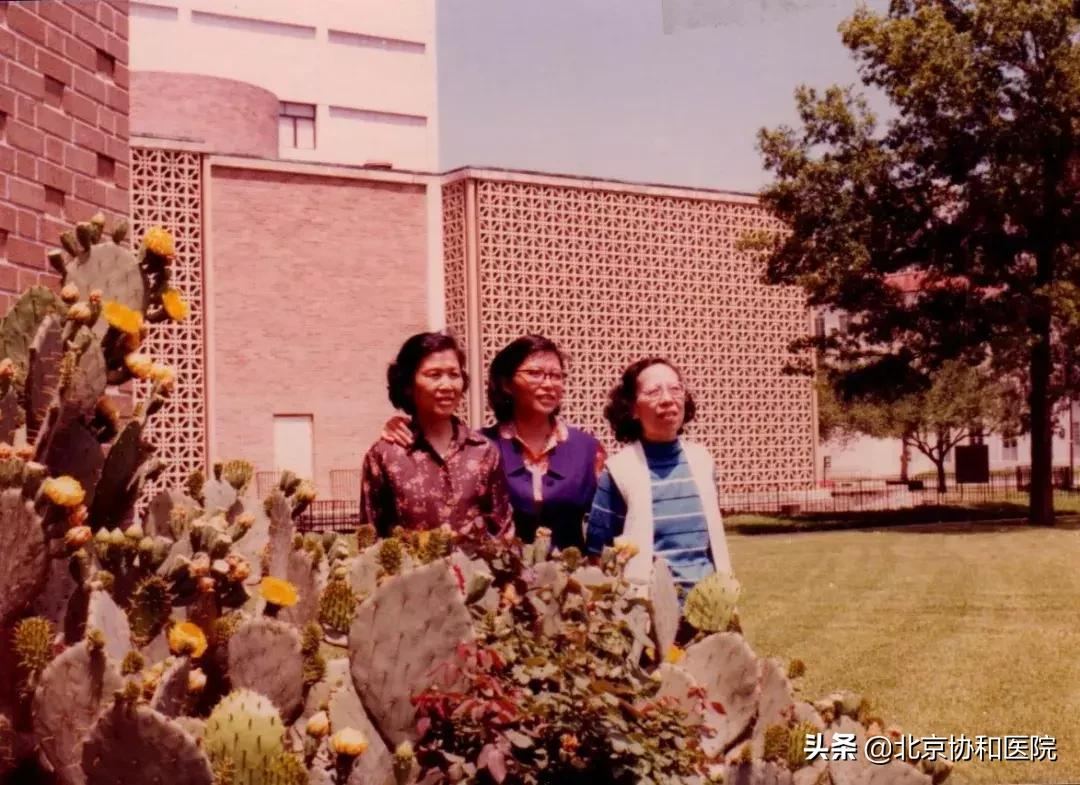 口述历史读人生,口述仁心仁术