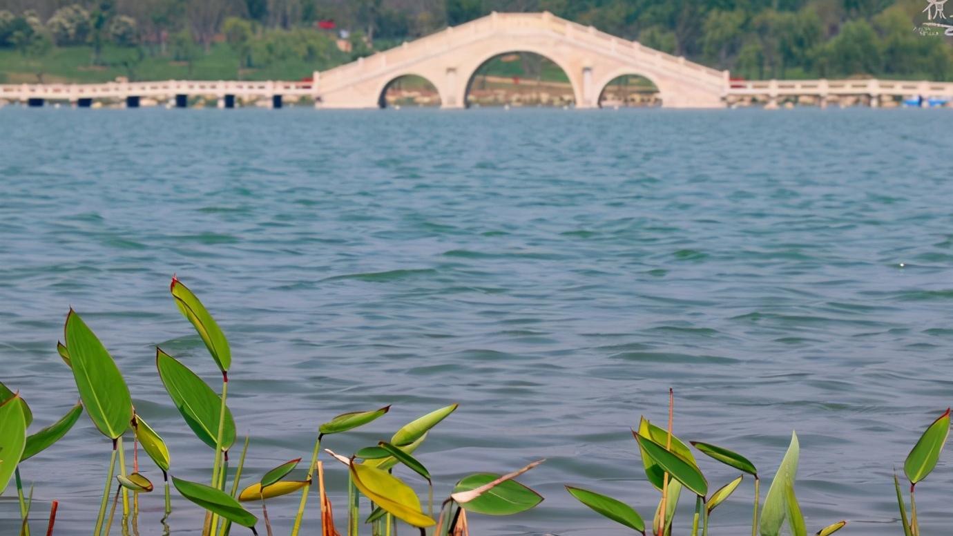 浅谈全国34个省级区域之华东篇：江苏省—宿迁市