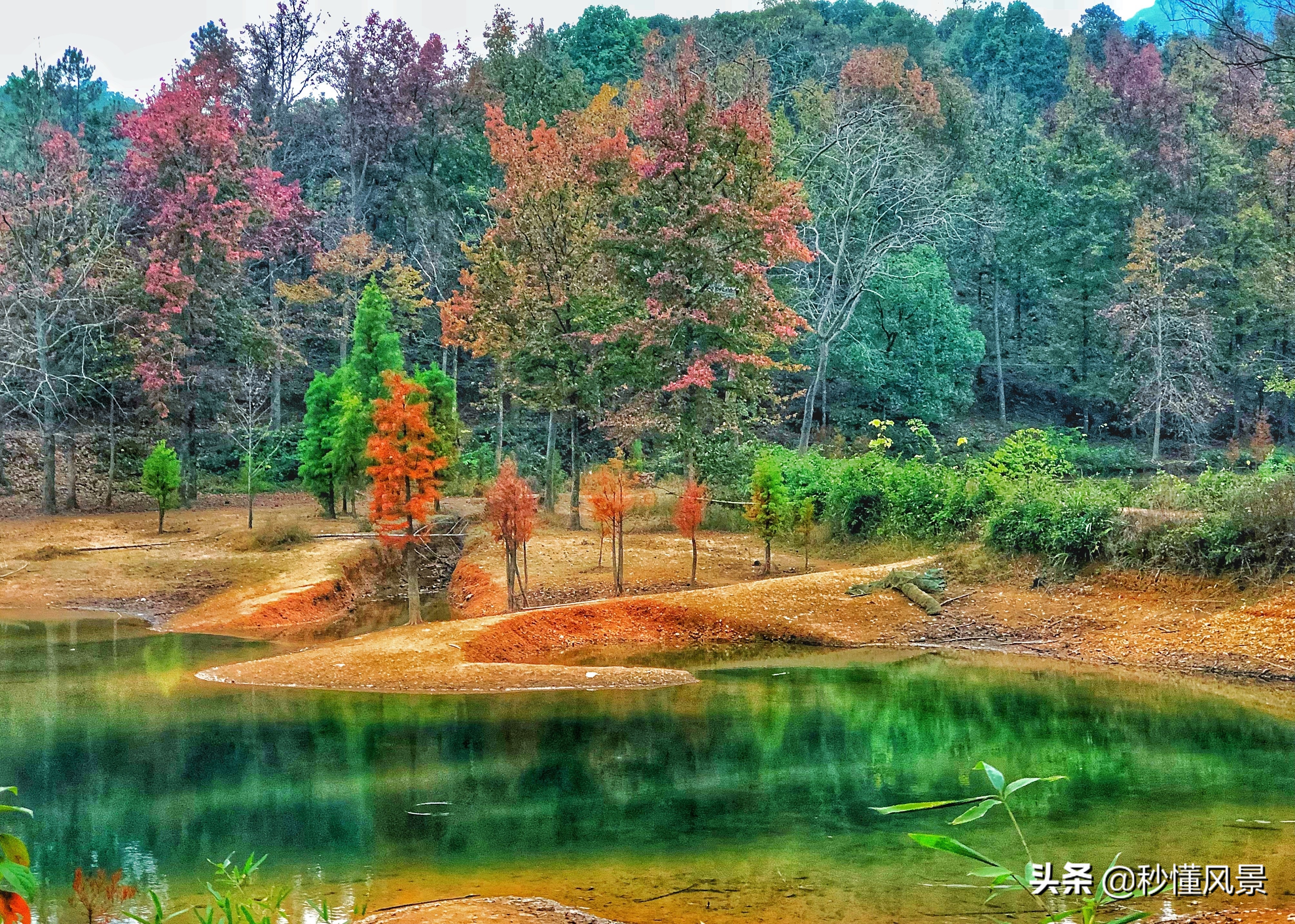 杭州，也有一个“九寨沟”，它依山傍水而且能感受一叶知秋的美丽