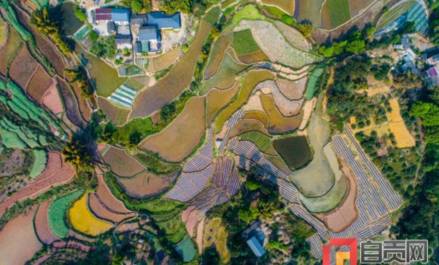 产业就业扶贫助力精准脱贫,5000亿扶贫资金