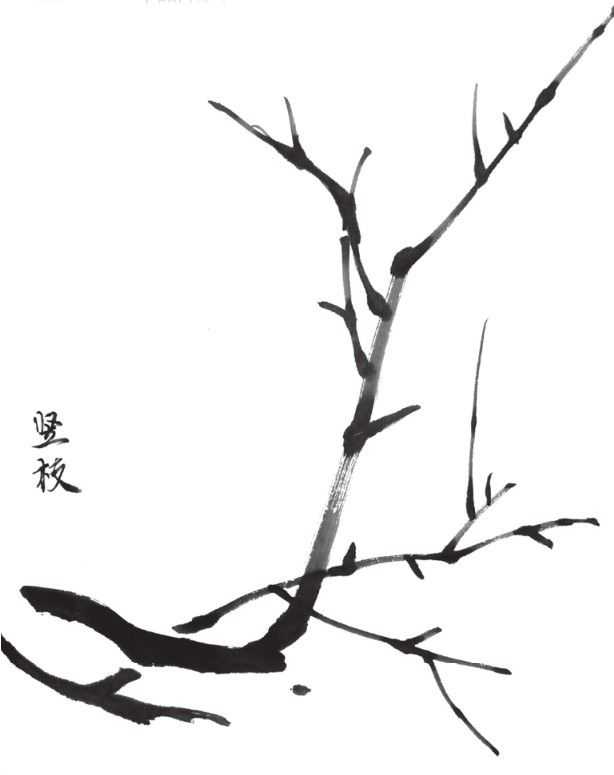 国画花枝穿插技巧图解,国画花枝的简单教程