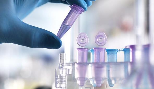 通化东宝未来10年股价,通化东宝股价为啥跌得那么低