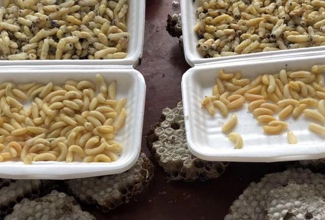 广东和云南到底谁更敢吃,云南人为什么很会吃