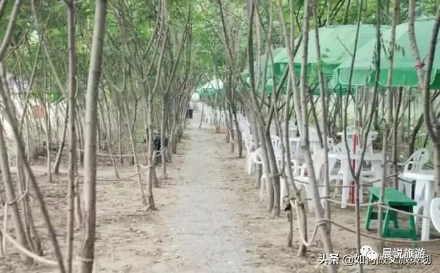 亲子农乐园投资,亲子农乐园经营模式