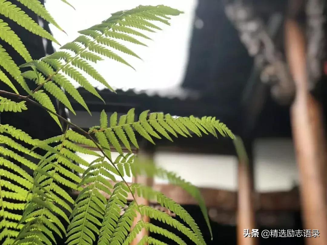 好的家教对联,有关教育方面的长对联