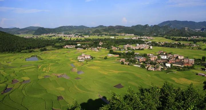 落实习*平近**总书记指示要求·调研记｜城乡融合，再造一个新广东