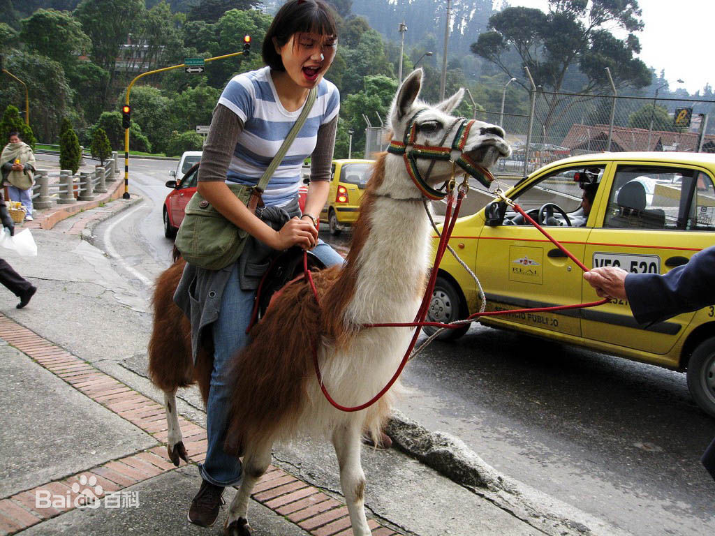 今天我们来聊聊英语的英文,今天我们来聊一聊