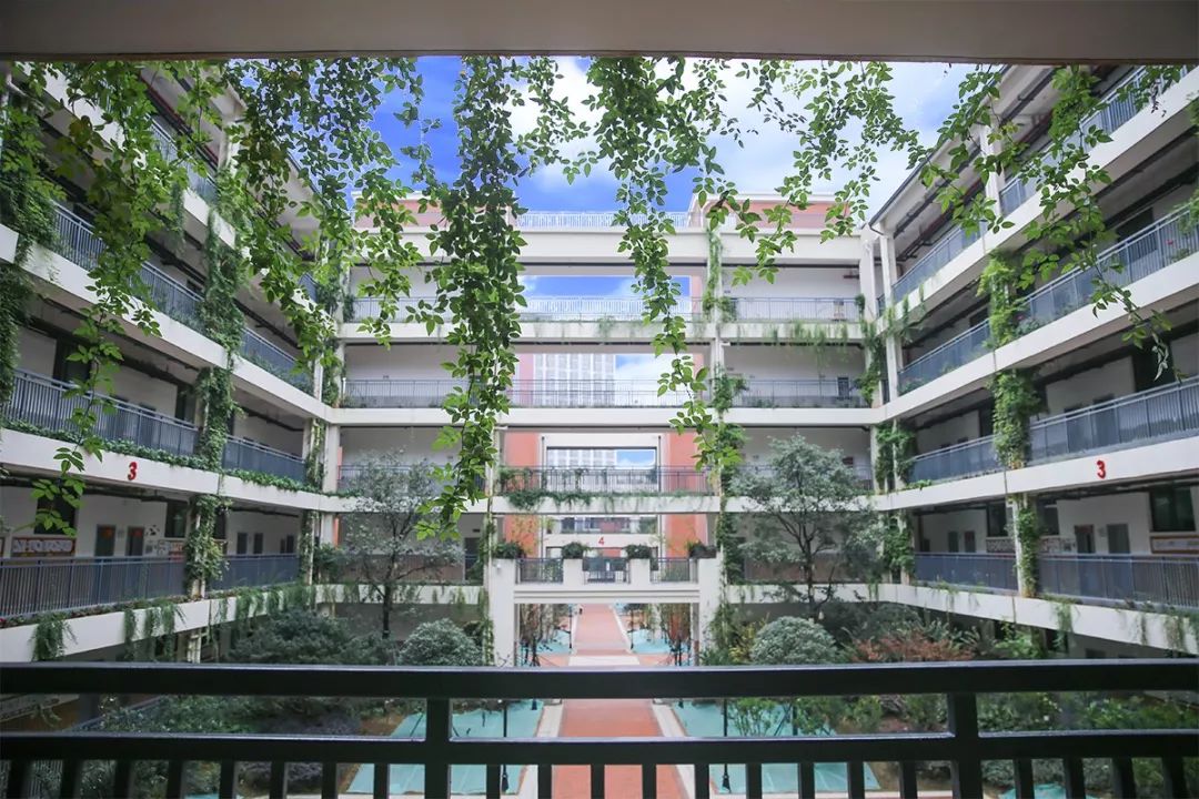 武汉最难进的12所学校,武汉最难进小学