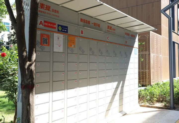 爱上西译的66个理由