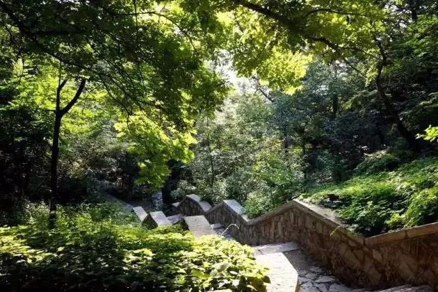 博山区年审,博山年审