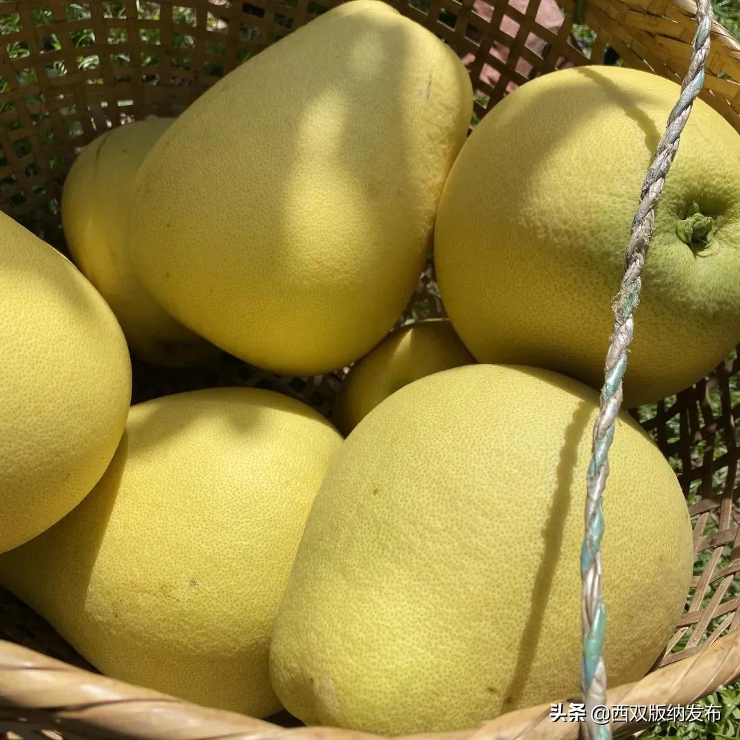 璇辨儜闅炬尅,鍕愪粦鏌氬瓙鍙堝ぇ鍙堢敎