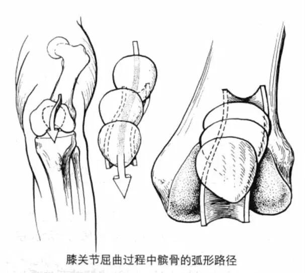 怎么练成大长腿懒人动作,如何练成笔直大长腿