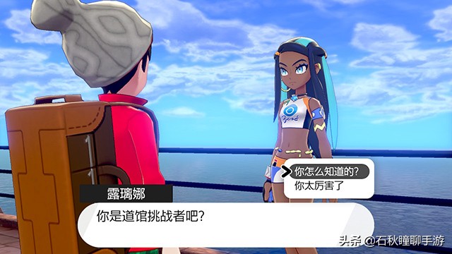 宝可梦剑盾开荒攻略,宝可梦剑新手攻略全流程