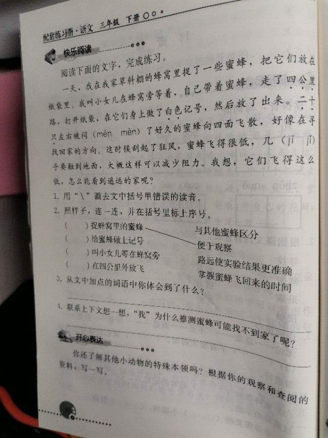 小学三年级法布尔课文,三年级哪些是法布尔的作品