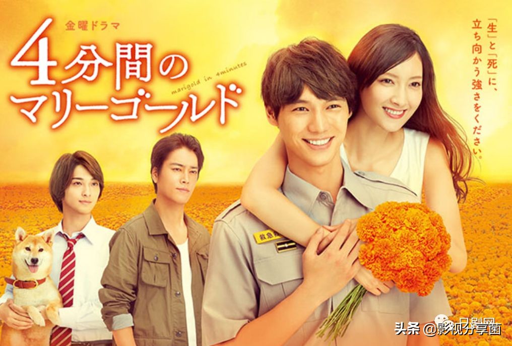 2019年日剧盘点,2019年日剧大全一览表