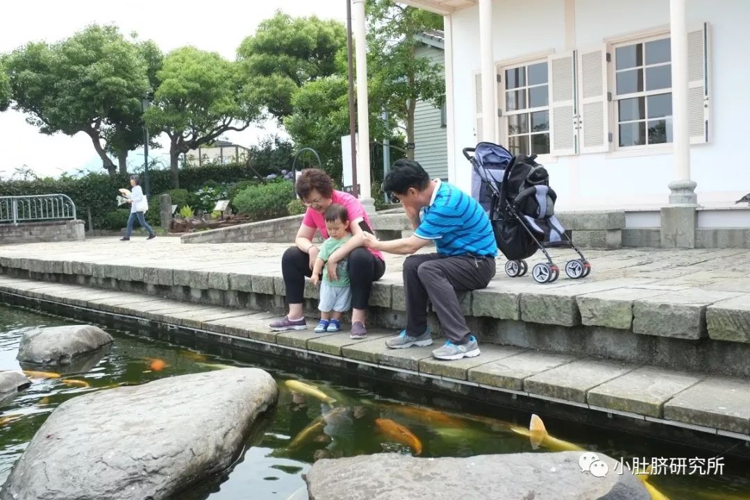邮轮旅行5天多少钱合适儿童,带孩子坐邮轮旅游攻略日本