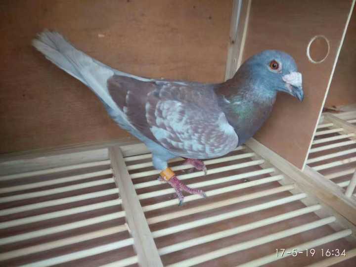 跟大师学功夫,跟大师学习维修