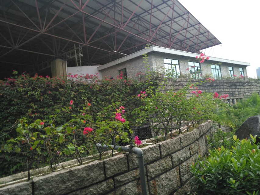 深圳大学是什么档次的大学？看实力如何颜值如何