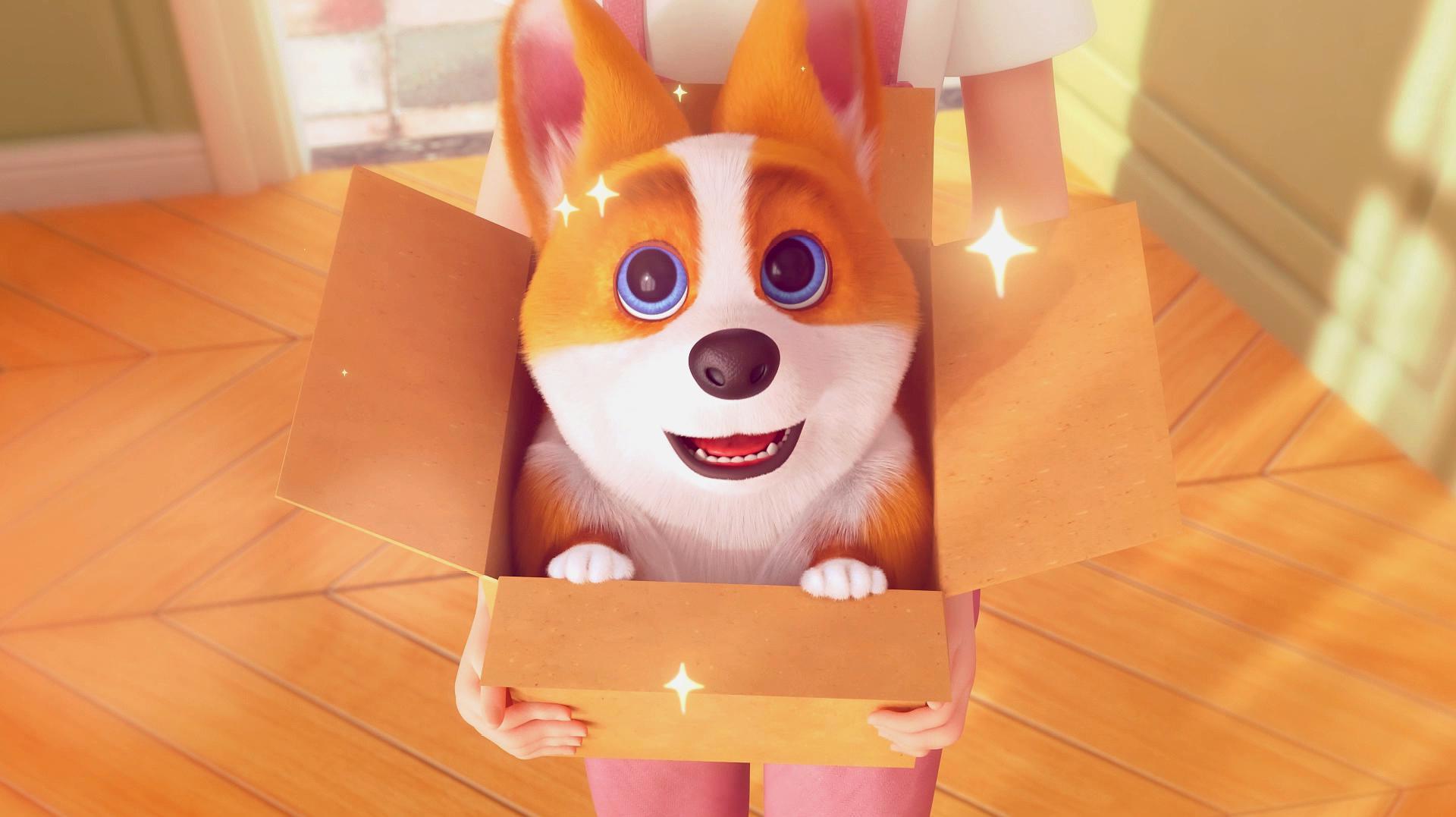 飞狗moco主人夸妈妈,飞狗moco和妈妈打架