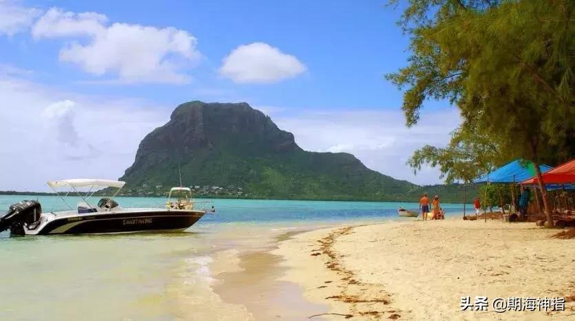 期货高手的交易思路和技巧,期货交易入门技巧和方法