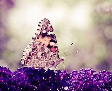 从磁带到cd到mp3周杰伦,从录音带到光盘到u盘