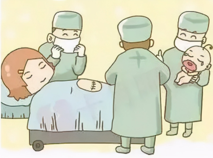 三十条冷知识大全,荷兰100条冷知识