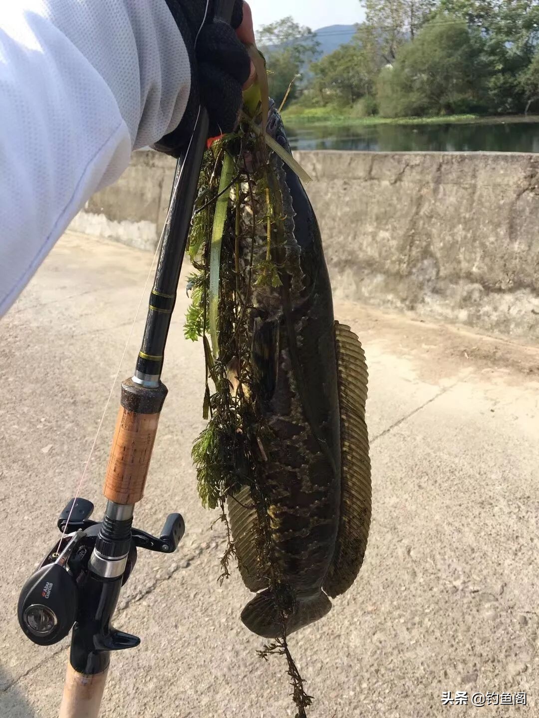 路亚新手钓黑鱼装备推荐,路亚黑鱼纺车轮选3000还是4000